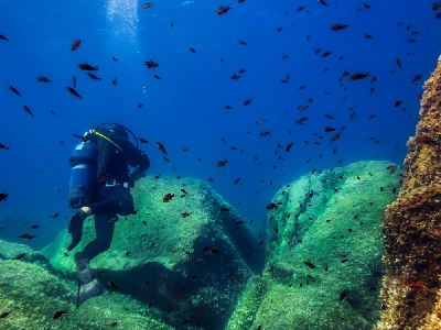 diver in the blue sea surrounded by fish