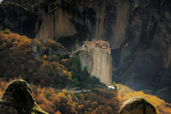 Landscape Photo of Trees on Mountain Near Cliff