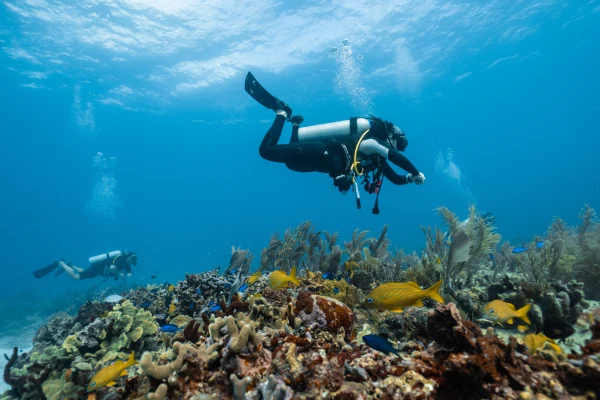 Scuba divers among corals and fishes in the ocean