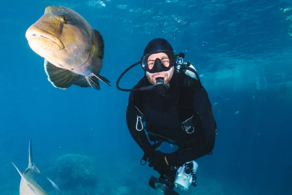 underwater photographer pose close to a maori wrasse in the great barrier reef