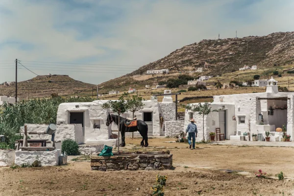 A man leads a horse through a rural farmstead at Heritage Farm, Mykonos
