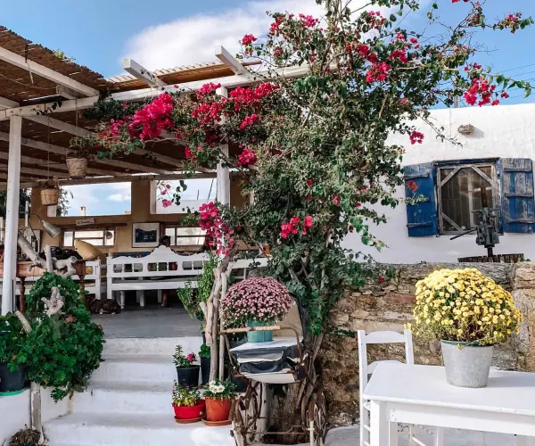 Organic farm in Mykonos